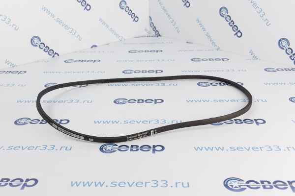 Ремень 3L481 BLT008UN, AV0945_1
